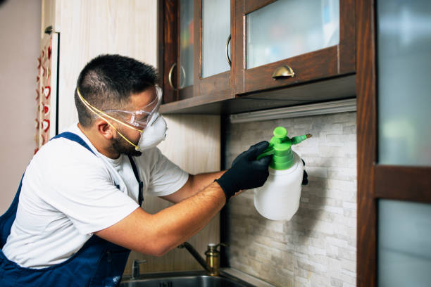 Best Pest Inspection Near Me  in Roeland Park, KS