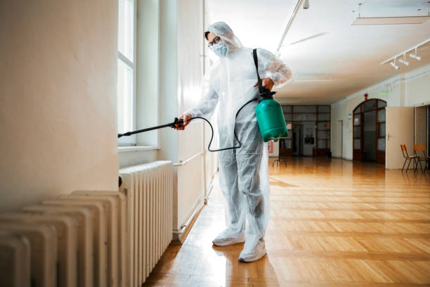 Best Affordable Pest Control Services  in Roeland Park, KS